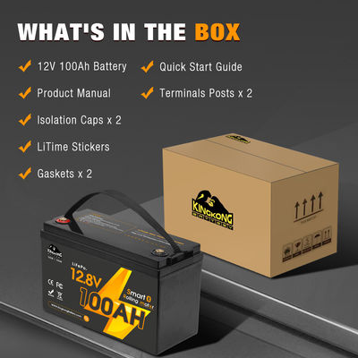 قارب كهربائي Lifepo4 بطارية 12 فولت 24 فولت