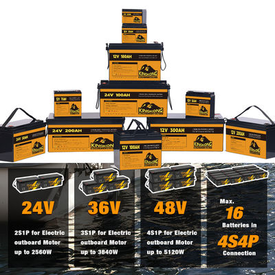 البطارية الليثيوم أيونية Lifepo4