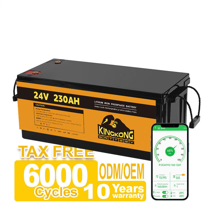 OEM 24V 100AH 200AH 230AH 12V بطارية لي أيون لجهاز الطاقة الشمسية RV قارب دراجة نارية كهربائية