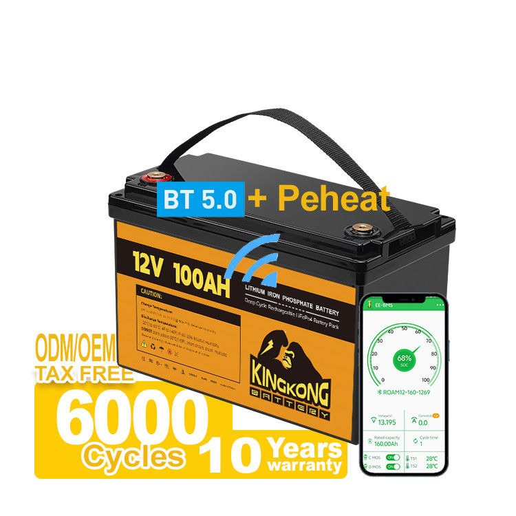 110/120/220/230V التيار الخارجي 12.8V 100Ah 200Ah 300Ah LFP بطارية ليثيوم أيون