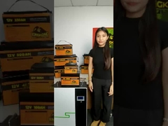 12 فولت 48 فولت 120 آه 150 آه 170 آه 200 آه 300 آه بطارية ليثيوم أيون للفيفبو 4 للقوارب