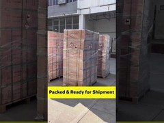 1x التيار المتردد صافي الموجات الصينية الخروج مصدر الطاقة الشمسية مع مصباح الكشاف وبطارية ليثيوم أيون